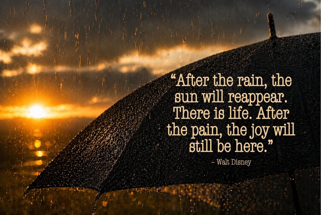 The Final Word_Newsletter_sun after rain